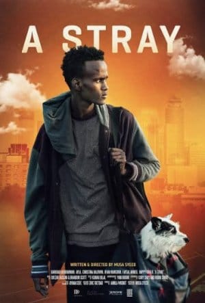 A Stray (2016)