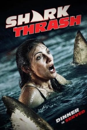 Shark Thrash